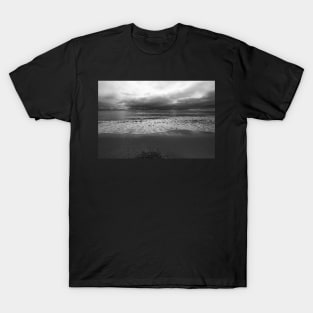 calm before the storm T-Shirt